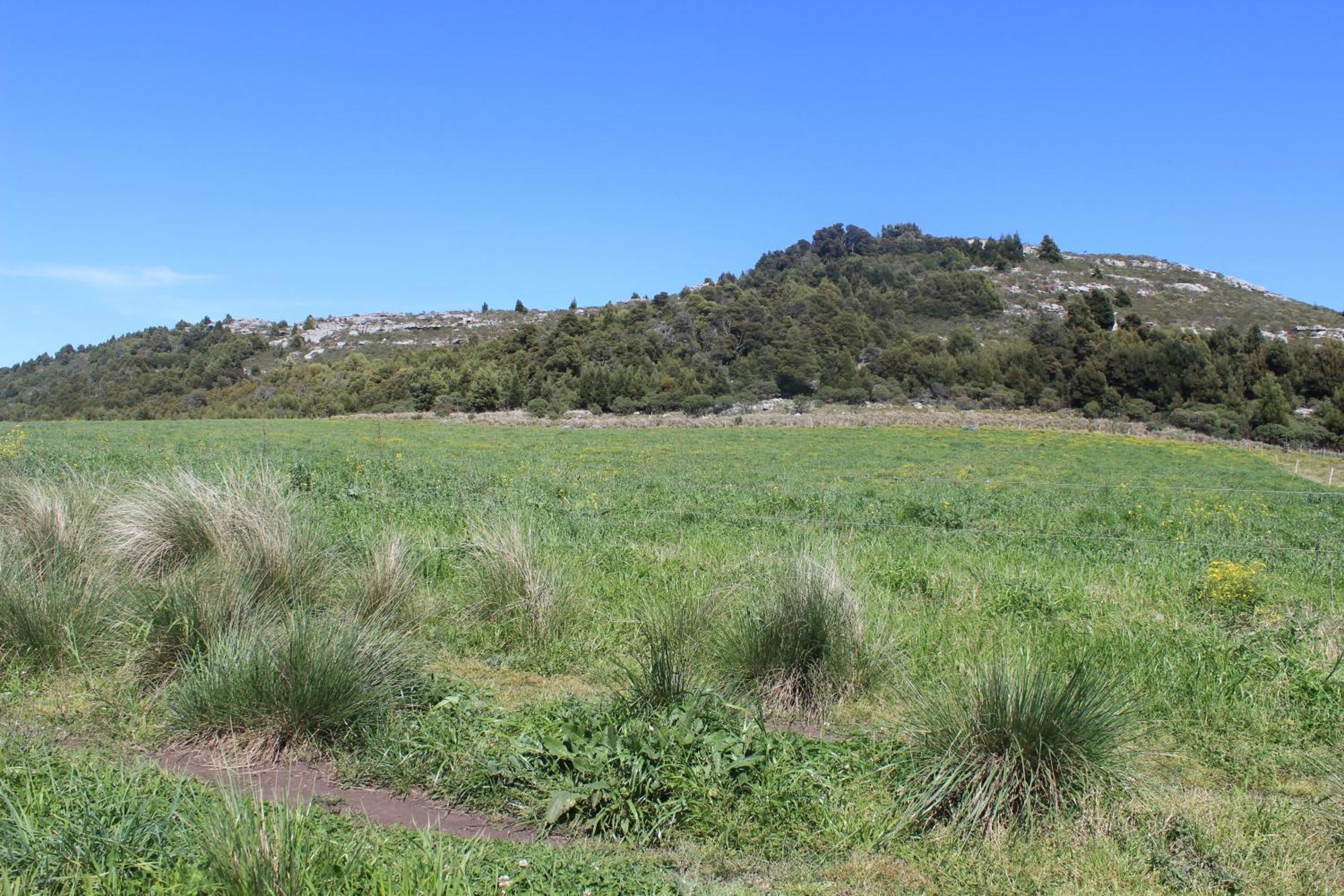 סיירה דה לוס פאדרס Chalet En Reserva Natural Paititi מראה חיצוני תמונה