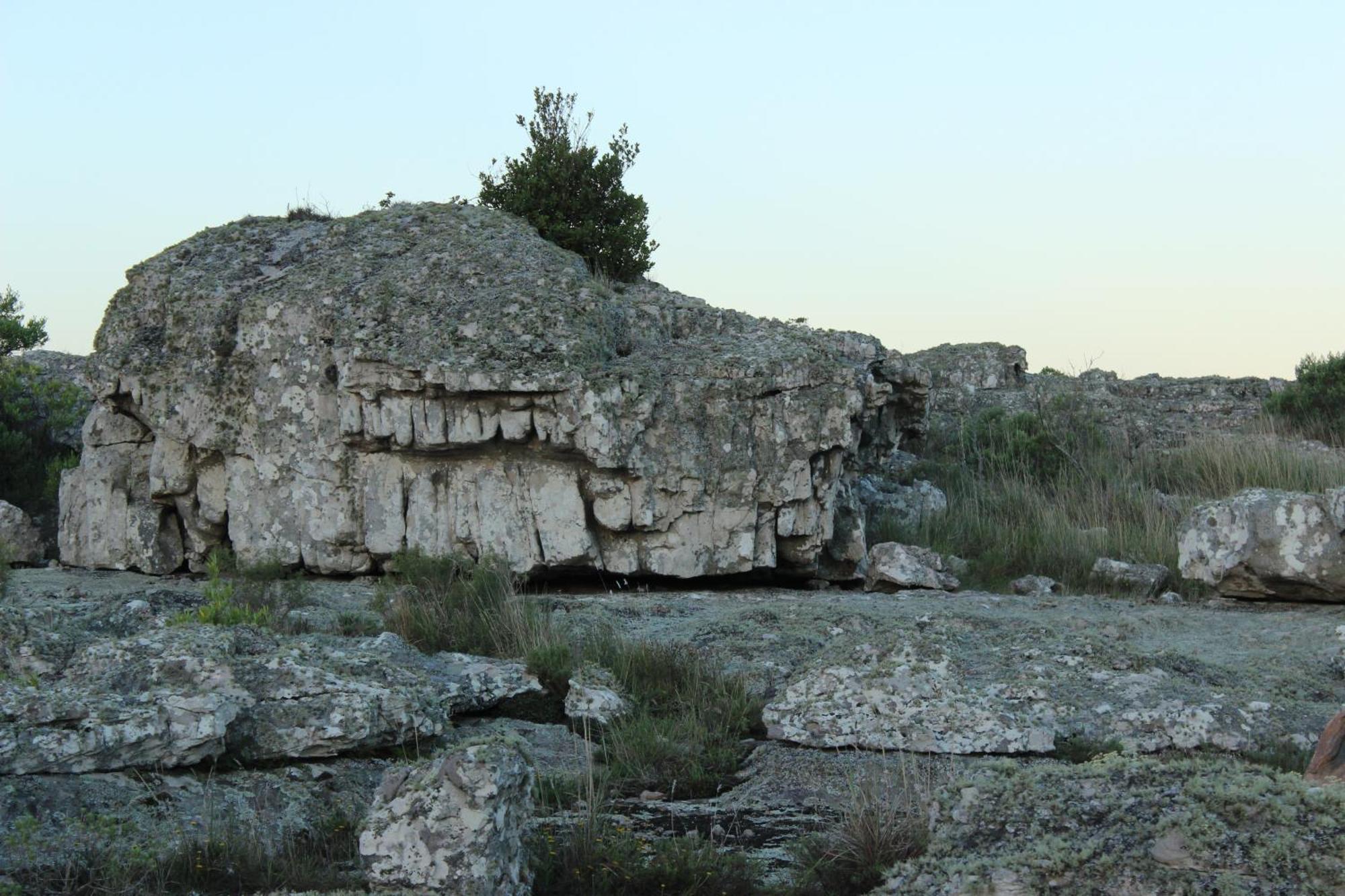סיירה דה לוס פאדרס Chalet En Reserva Natural Paititi מראה חיצוני תמונה