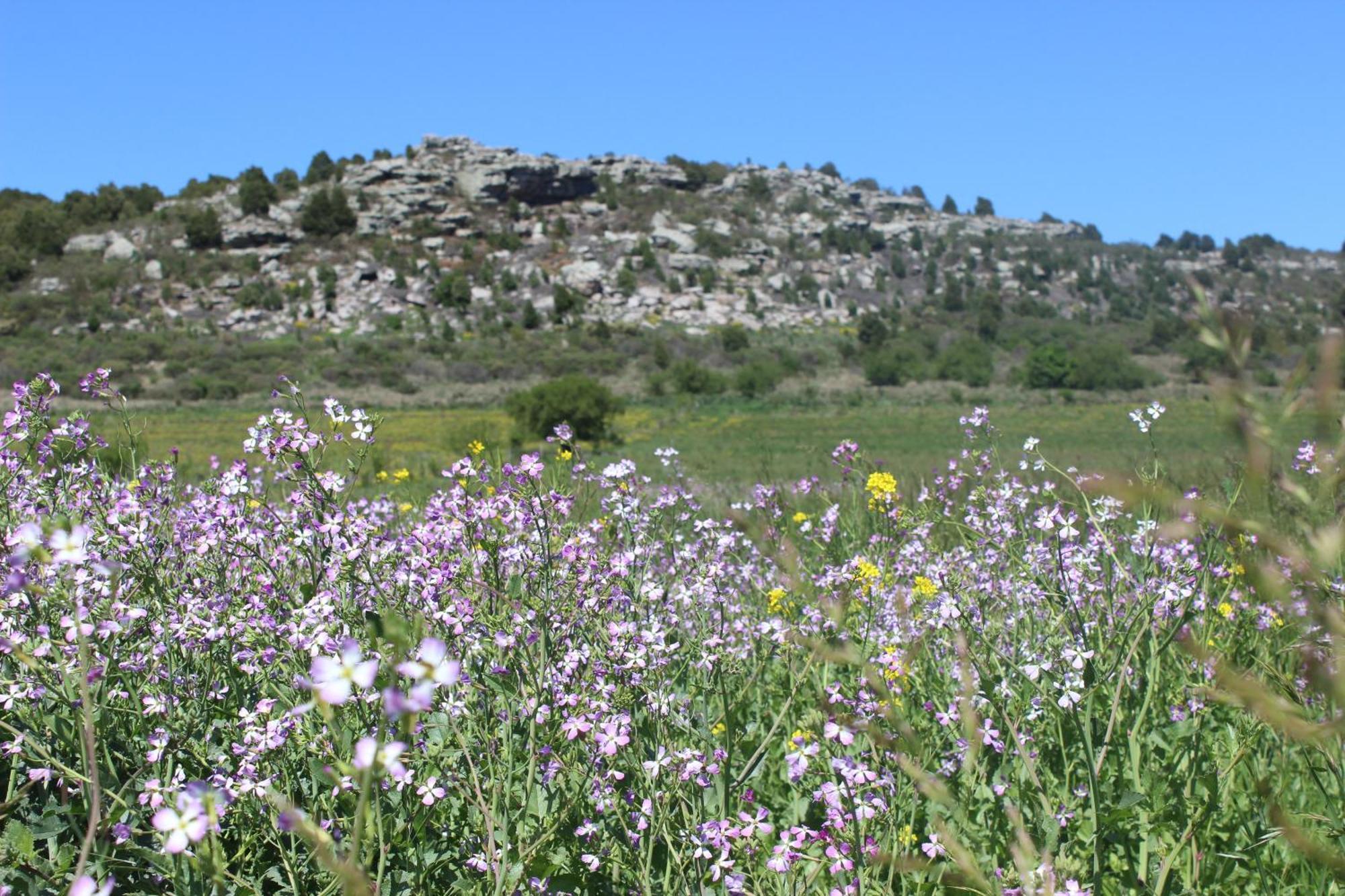 סיירה דה לוס פאדרס Chalet En Reserva Natural Paititi מראה חיצוני תמונה